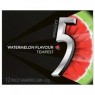 5 Gum Watermelon