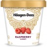 Haagen Dazs Raspberry Sorbet Ice Cream 14 oz