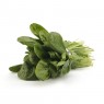 Spinach Organic