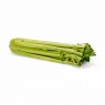 Celery Organic