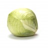 Cabbage ORGANIC