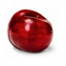 Red Plum