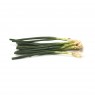 Green Onion ORGANIC