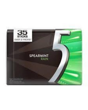 5 Gum Spearmint Rain