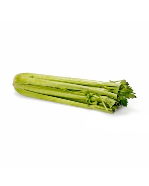 Celery Organic