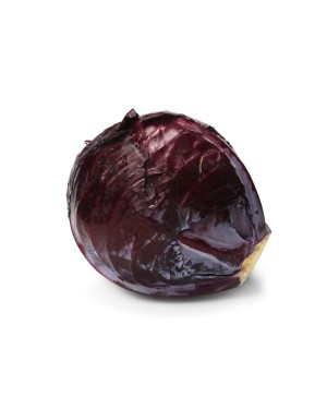 Red Cabbage