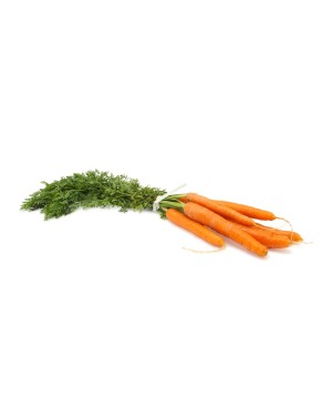 Bunched Carrots Organic
