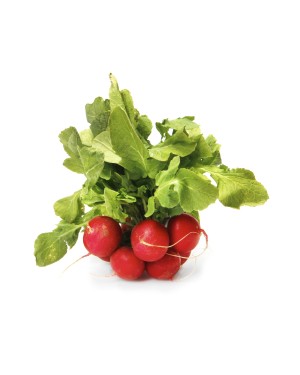 Red Radish Bundle ORGANIC