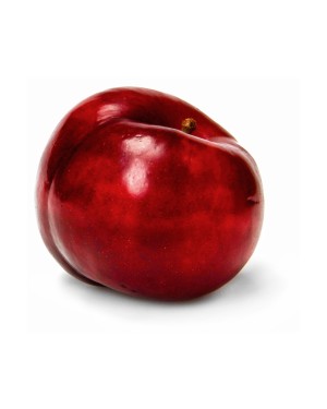 Red Plum