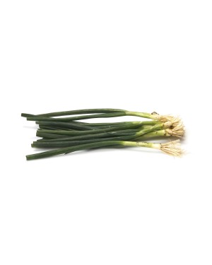 Green Onion ORGANIC
