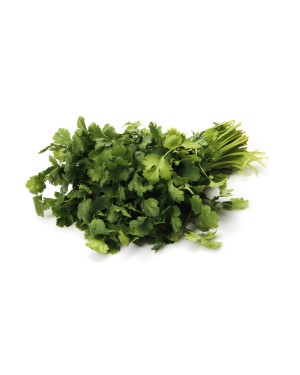 Cilantro ORGANIC 