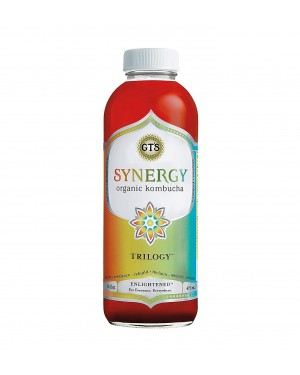 GTS Synergy Trilogy Raw Kombucha 16 oz